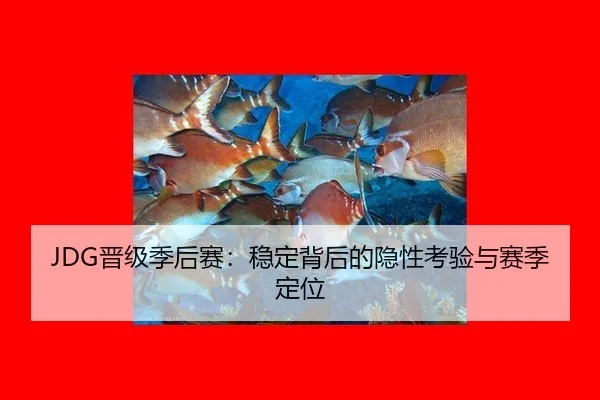 jin-ji-ji-hou-sai-wen-ding-bei-hou-de-yin-xing-kao-yan-yu-sai-ji-ding-wei-2-338.jpg